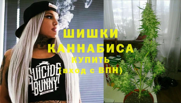 спайс Белокуриха