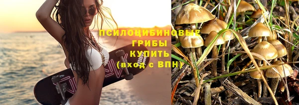 спайс Белокуриха